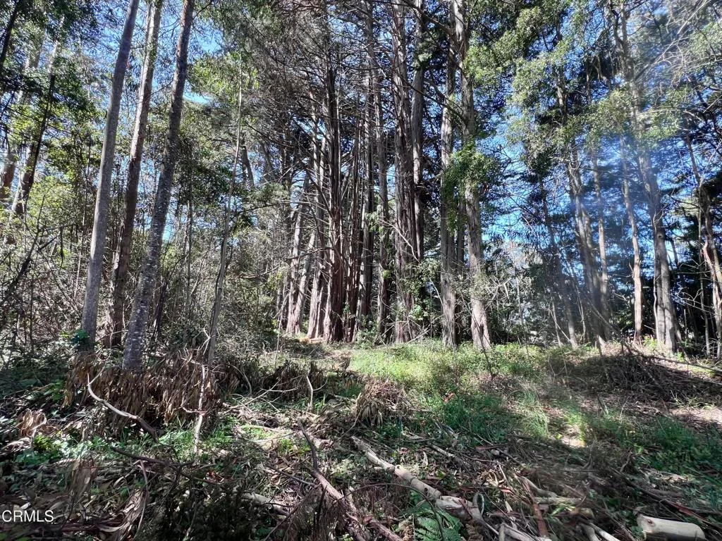 Additional image 27 of 32021 Boice Lane, Fort Bragg, CA 95437