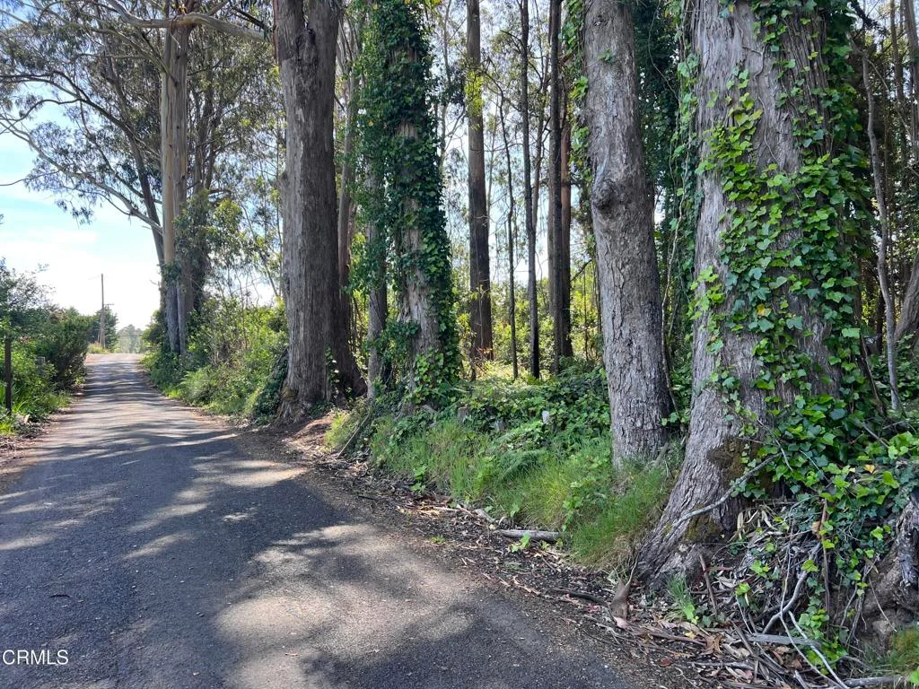 Additional image 33 of 32021 Boice Lane, Fort Bragg, CA 95437