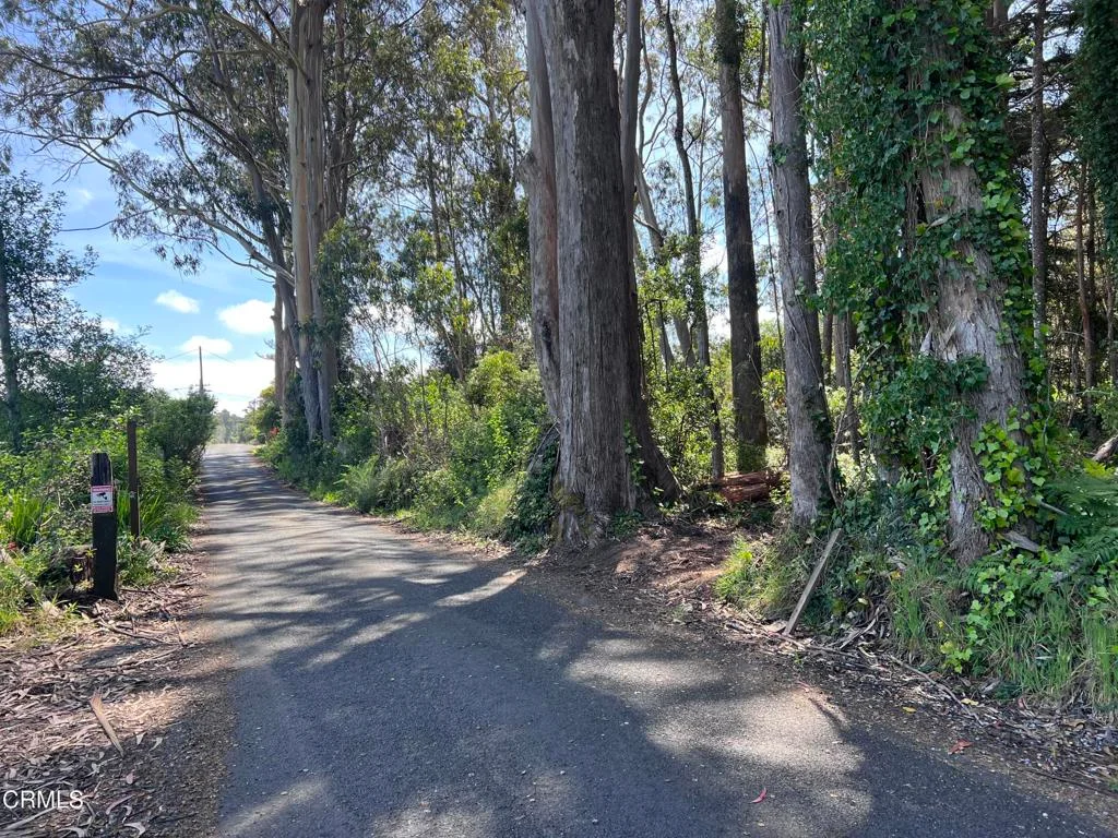 Additional image 32 of 32021 Boice Lane, Fort Bragg, CA 95437