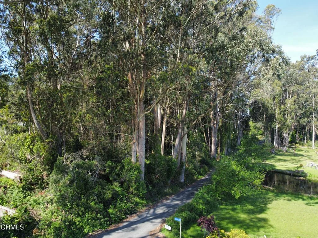 Additional image 20 of 32021 Boice Lane, Fort Bragg, CA 95437