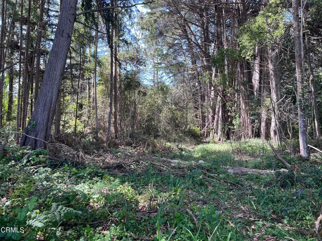 Additional image 23 of 32021 Boice Lane, Fort Bragg, CA 95437