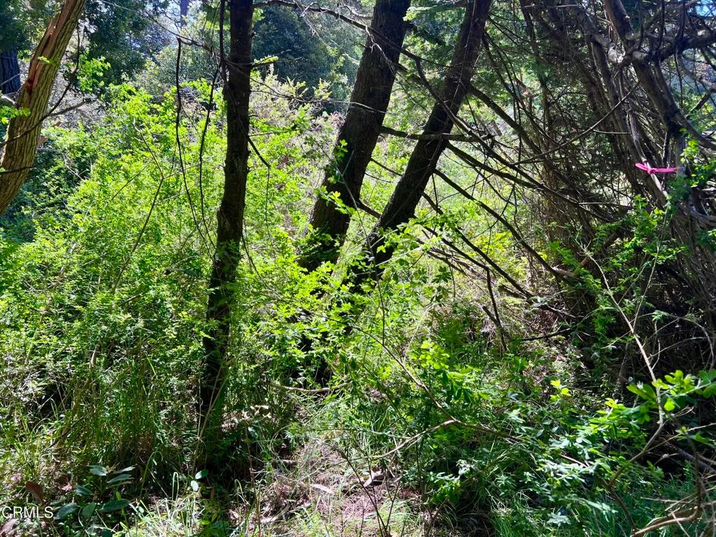 Additional image 29 of 32021 Boice Lane, Fort Bragg, CA 95437