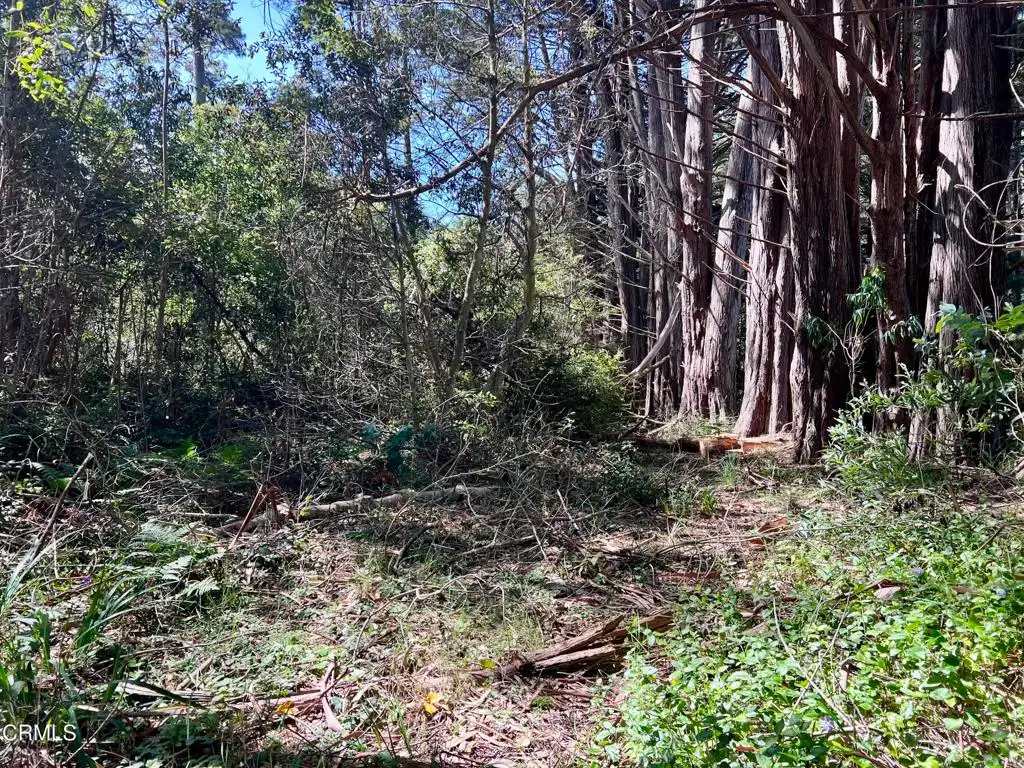 Additional image 28 of 32021 Boice Lane, Fort Bragg, CA 95437