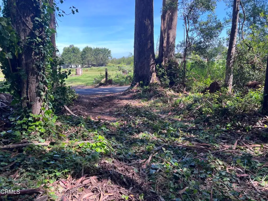 Additional image 31 of 32021 Boice Lane, Fort Bragg, CA 95437