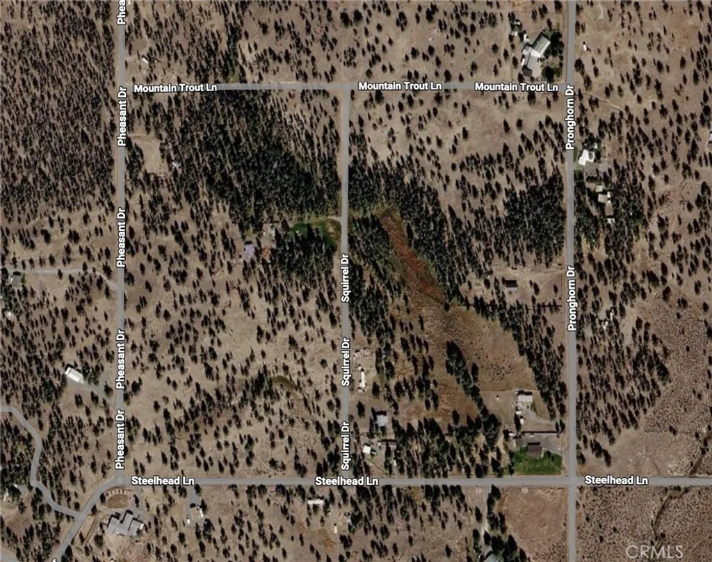 Additional image 3 of Pheasant Drive, Alturas, CA 96101