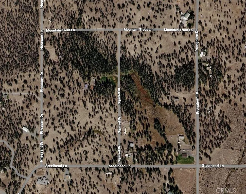 Additional image 4 of Pheasant Drive, Alturas, CA 96101