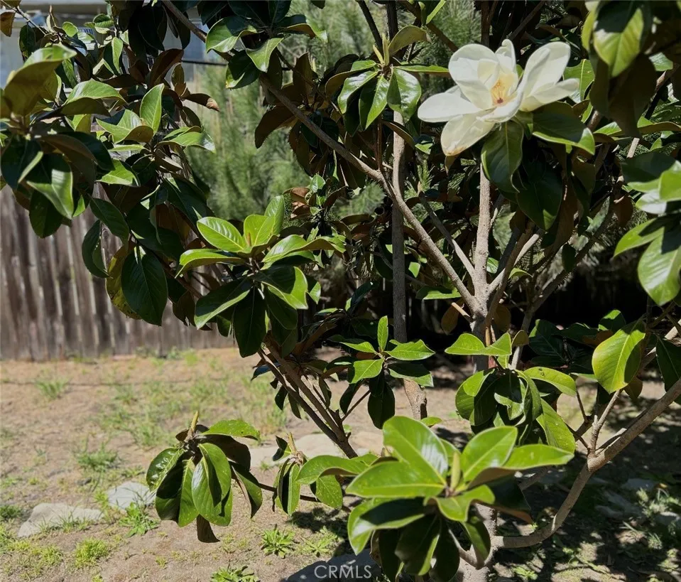 Additional image 60 of 1042 W 15th St, San Pedro, CA 90731