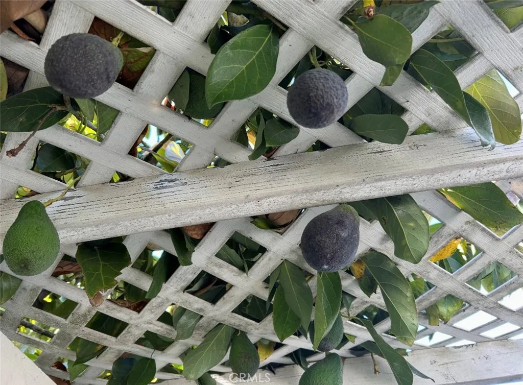 Additional image 52 of 1042 W 15th St, San Pedro, CA 90731