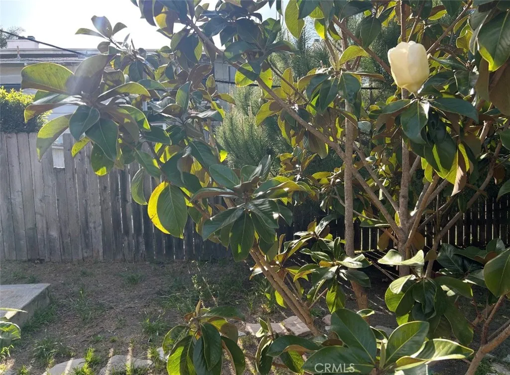 Additional image 59 of 1042 W 15th St, San Pedro, CA 90731