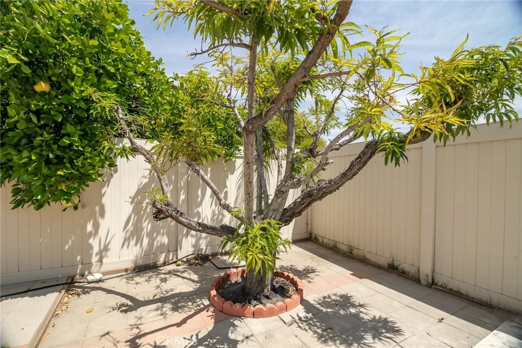 Additional image 48 of 1317 Julie Court, Redlands, CA 92374