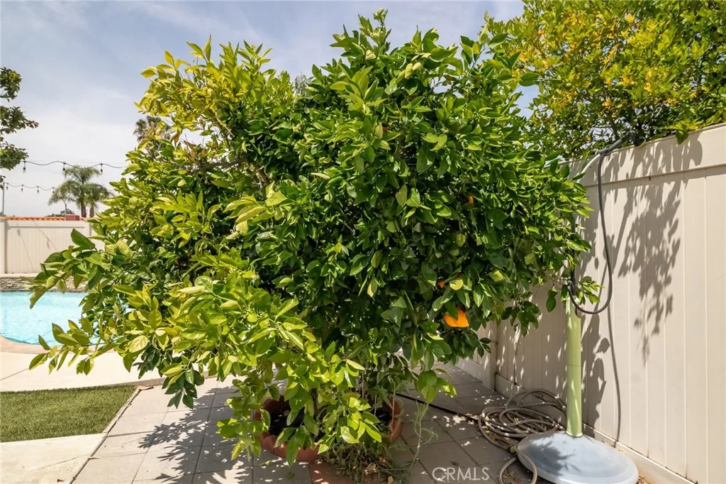 Additional image 108 of 1317 Julie Court, Redlands, CA 92374