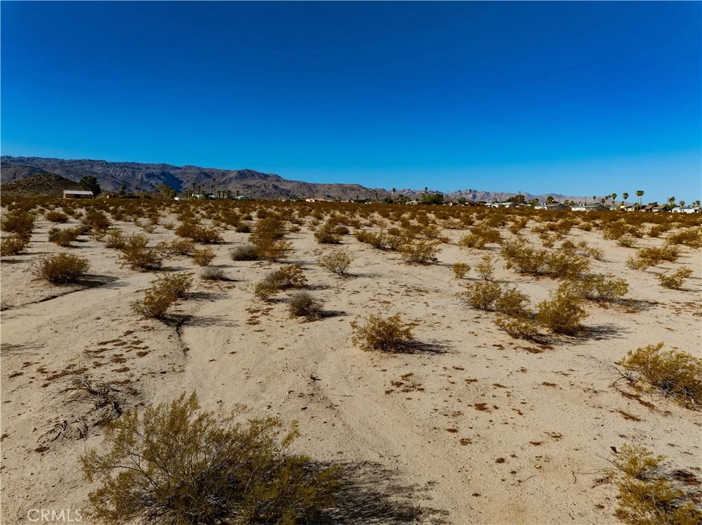 Alpine Avenue, 29 Palms, CA 92277