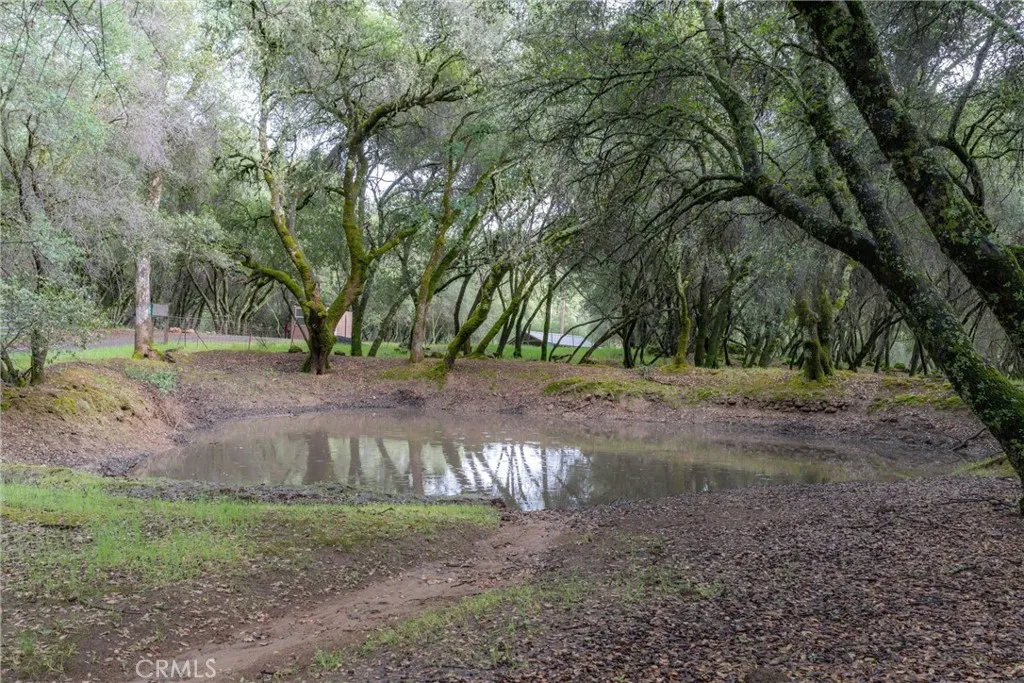 Additional image 52 of 1768 Swedes Flat Road, Bangor, CA 95914