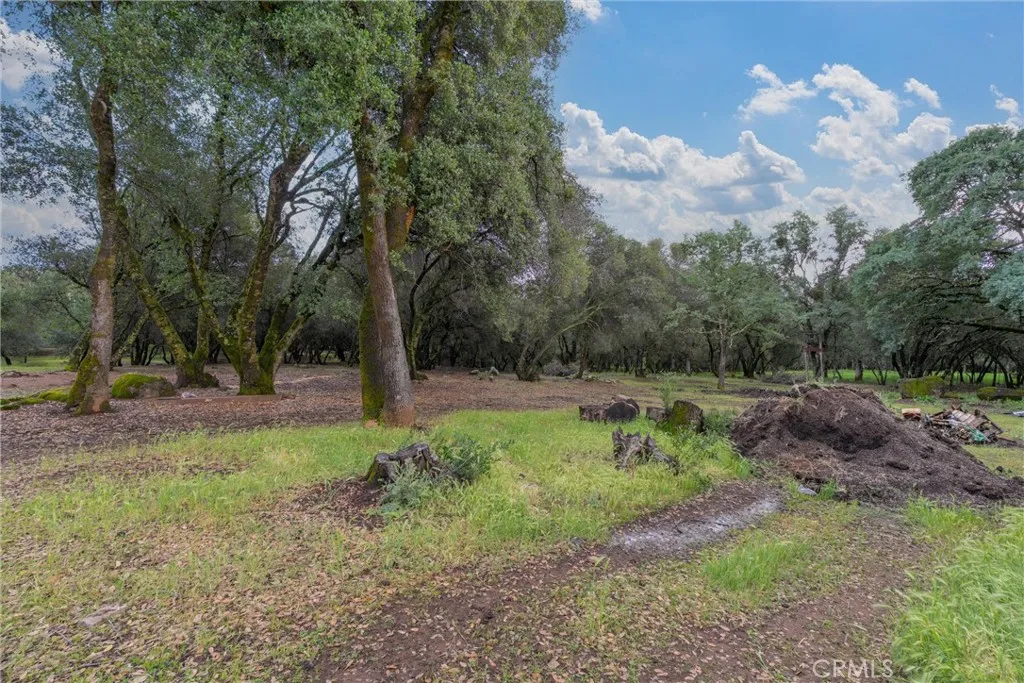 Additional image 101 of 1768 Swedes Flat Road, Bangor, CA 95914