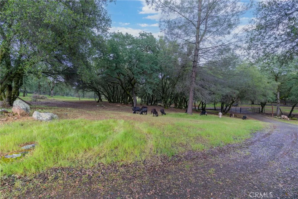 Additional image 102 of 1768 Swedes Flat Road, Bangor, CA 95914