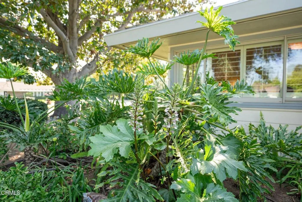 Additional image 83 of 685 Chester Avenue, San Marino, CA 91108