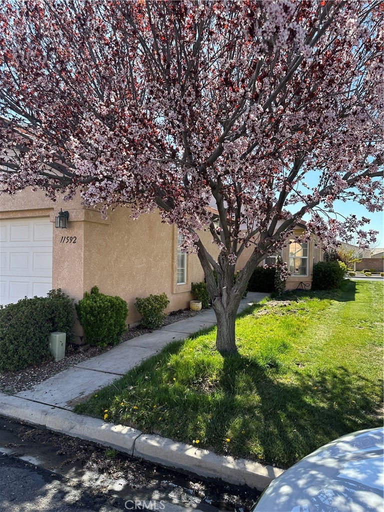 11592 Oak Street, Apple Valley, CA 92308 - MLS#: IV23058429