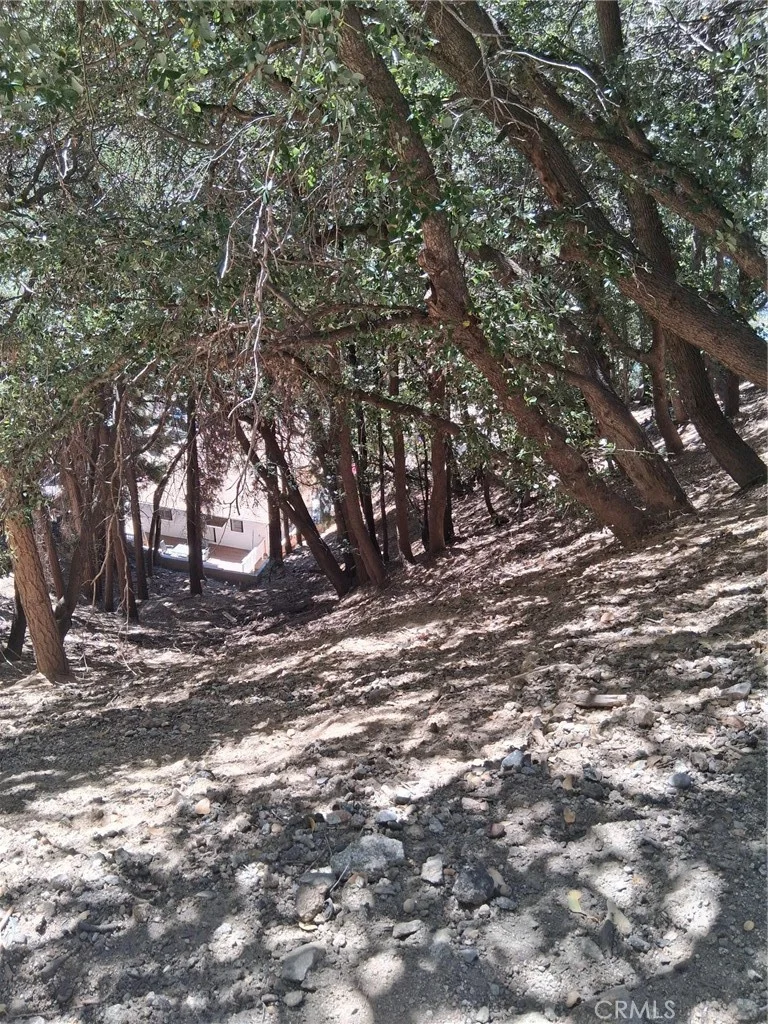 10 Delle, Crestline, CA 92325 photo 3