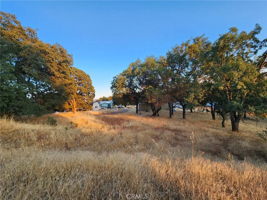 1093 Potters Ravine Drive, Oroville, CA 95965
