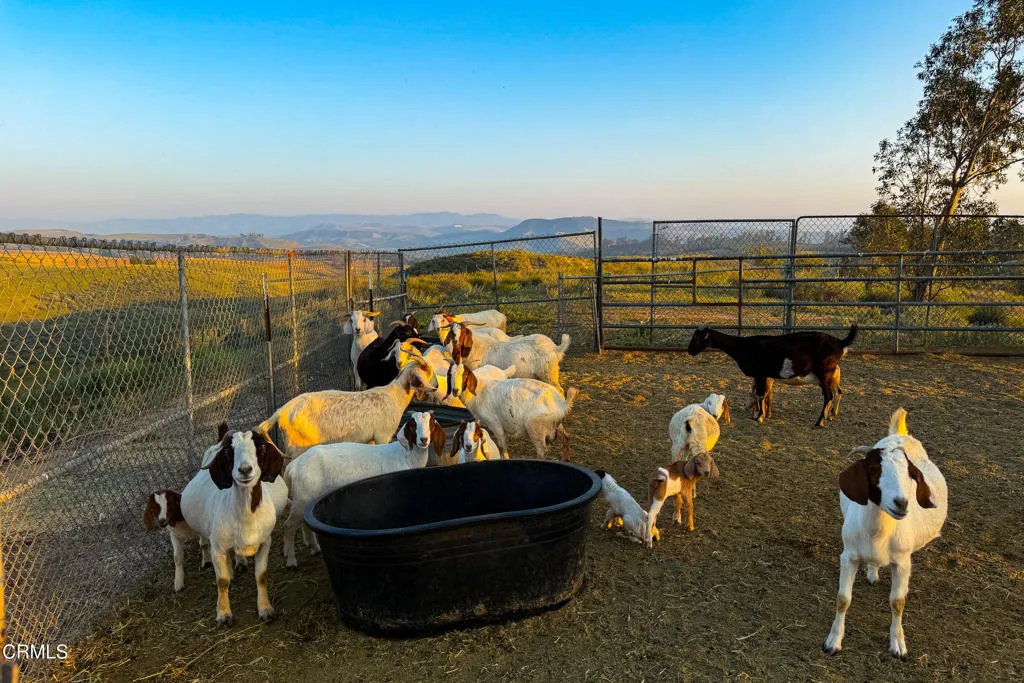 Additional image 138 of 14855 Middle Ranch Road, Moorpark, CA 93021