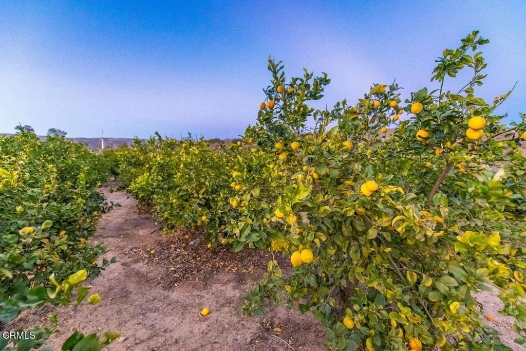 Additional image 145 of 14855 Middle Ranch Road, Moorpark, CA 93021