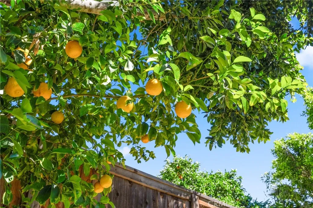 Additional image 40 of 32097 Cala Gerona, Temecula, CA 92592