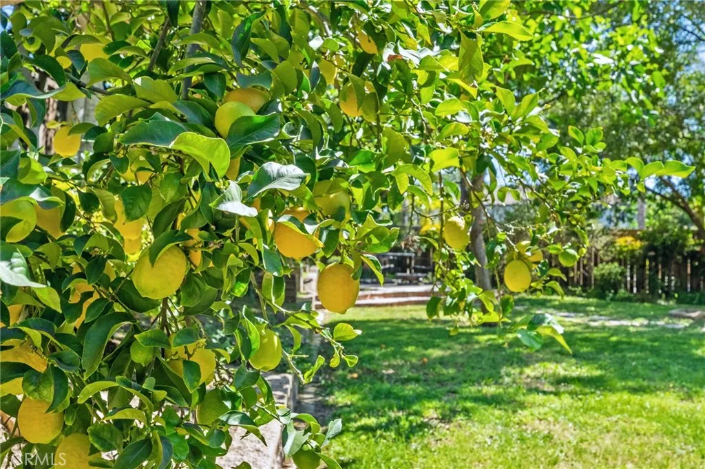 Additional image 100 of 32097 Cala Gerona, Temecula, CA 92592