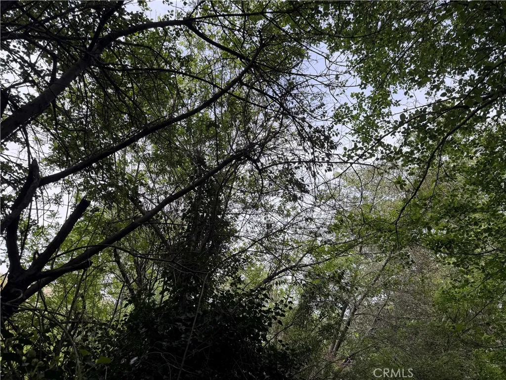 Additional image 63 of 14169 Pollard, Lytle Creek, CA 92358