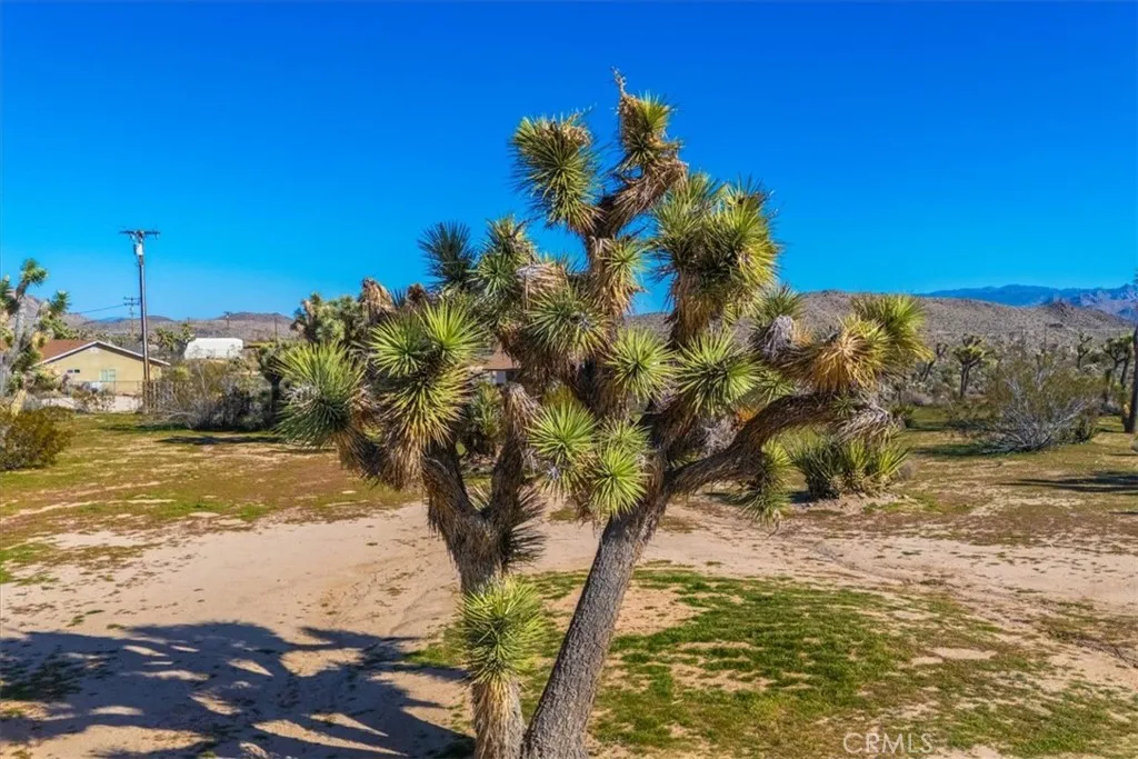 Additional image 106 of 5437 Paradise View Road, Yucca Valley, CA 92284