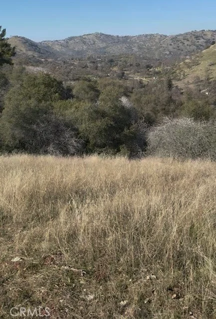 Chuckwagon Road, Squaw Valley, CA 93675 photo 3