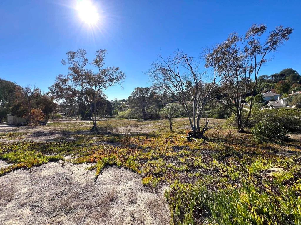 Additional image 6 of Mays Hollow Lane, Encinitas, CA 92024