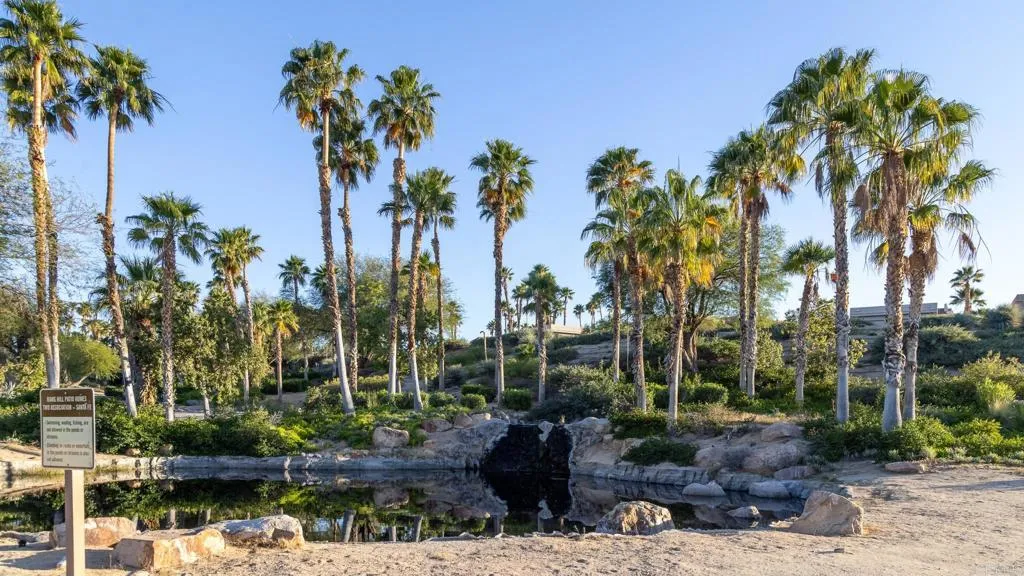 Additional image 98 of 2874 Fonts Point Drive, Borrego Springs, CA 92004