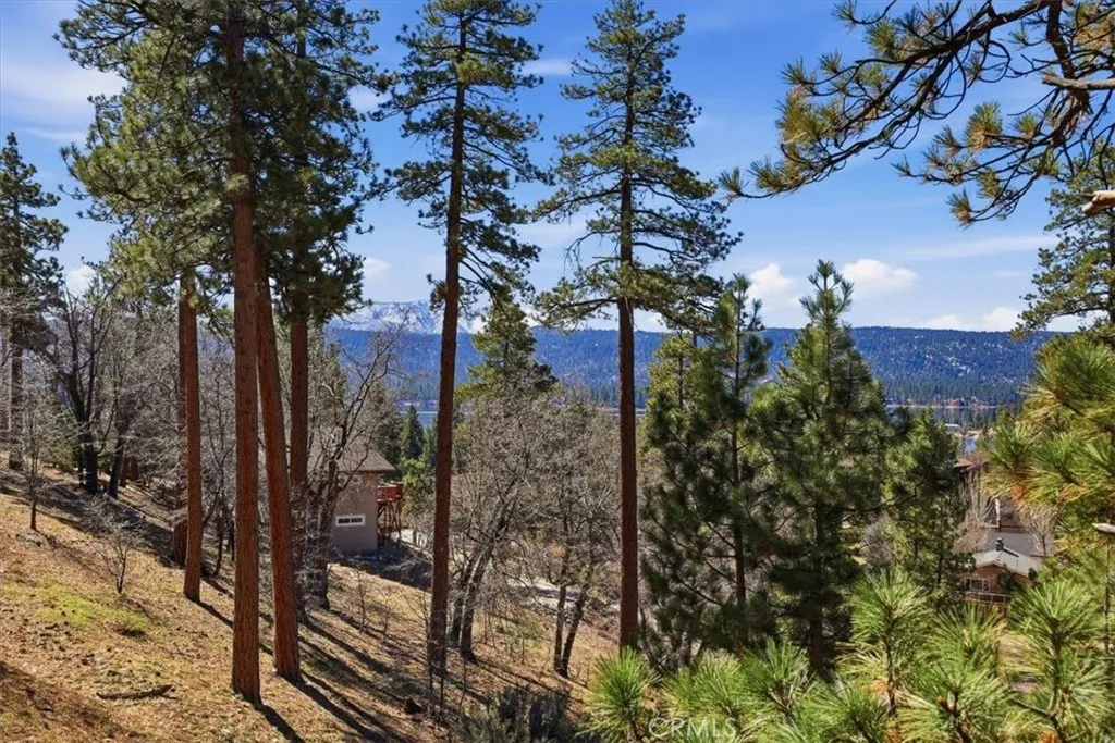 Additional image 4 of 1146 Ridge Rd, Fawnskin, CA 92333