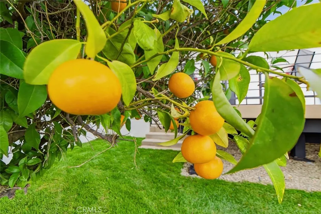 Additional image 134 of 1764 E Loma Alta Dr, Altadena, CA 91001