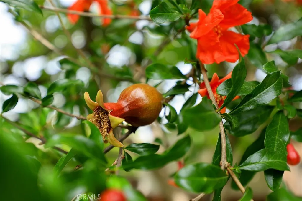 Additional image 84 of 1704 S Date Avenue, Alhambra, CA 91803