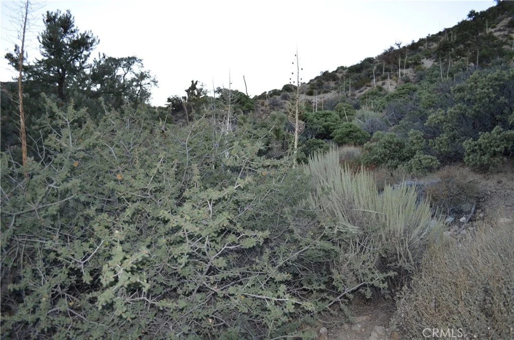 Verde, Pinon Hills, CA 92372 photo 4