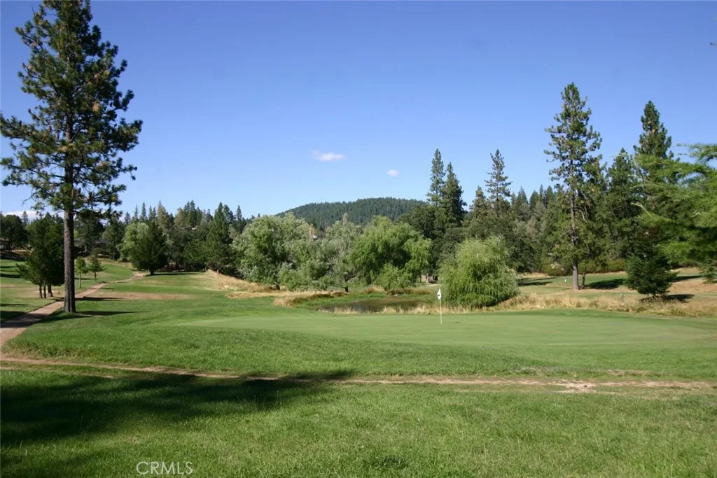 9569 Angelly Way, Cobb, CA 95426
