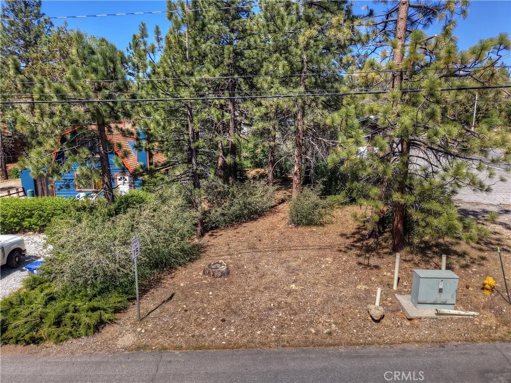 Additional image 18 of Maple Lane, Sugarloaf, CA 92386