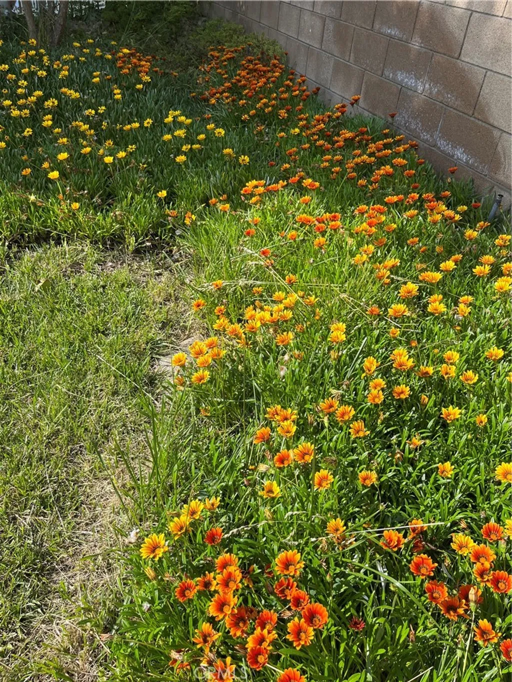 Additional image 20 of 16739 Obispo Dr., La Mirada, CA 90638