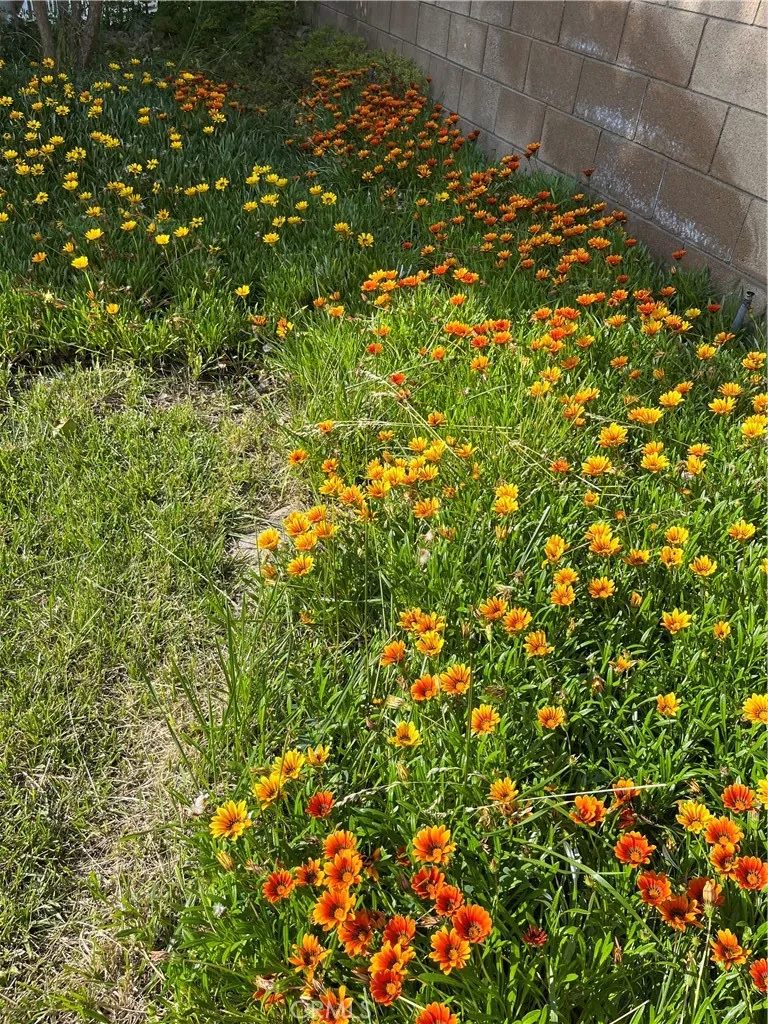 Additional image 39 of 16739 Obispo Dr., La Mirada, CA 90638