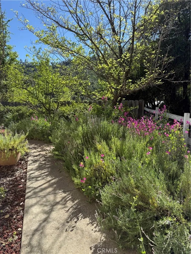 Additional image 60 of 5277 Hwy 49 N. #215, Mariposa, CA 95338