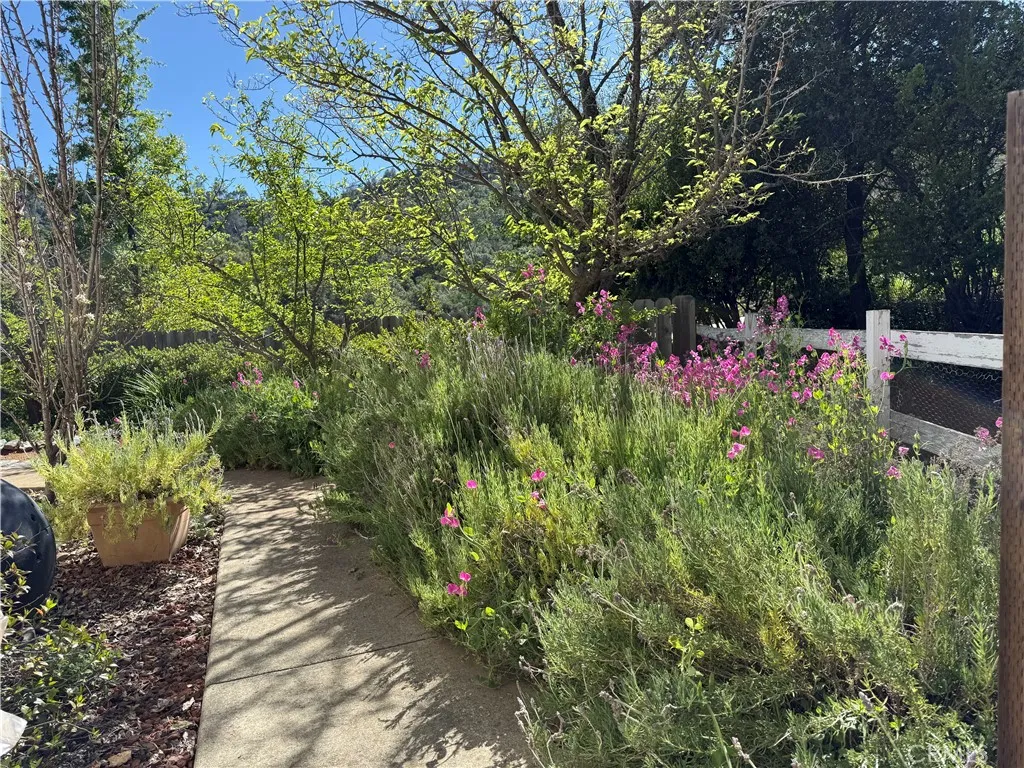 Additional image 59 of 5277 Hwy 49 N. #215, Mariposa, CA 95338