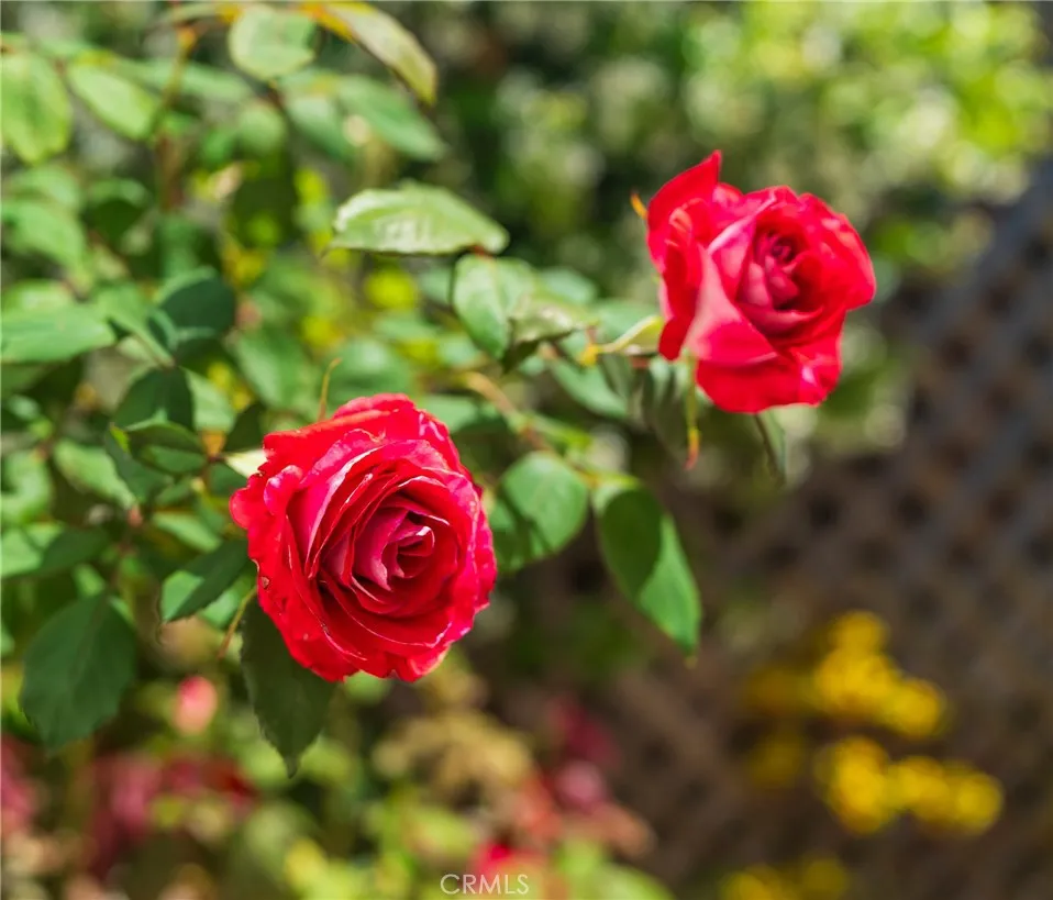 Additional image 82 of 1724 Van Horne Lane, Redondo Beach, CA 90278