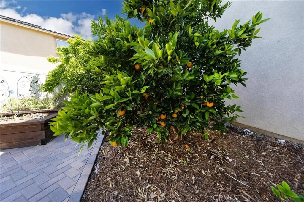 Additional image 55 of 30003 Redding Ave, Murrieta, CA 92563