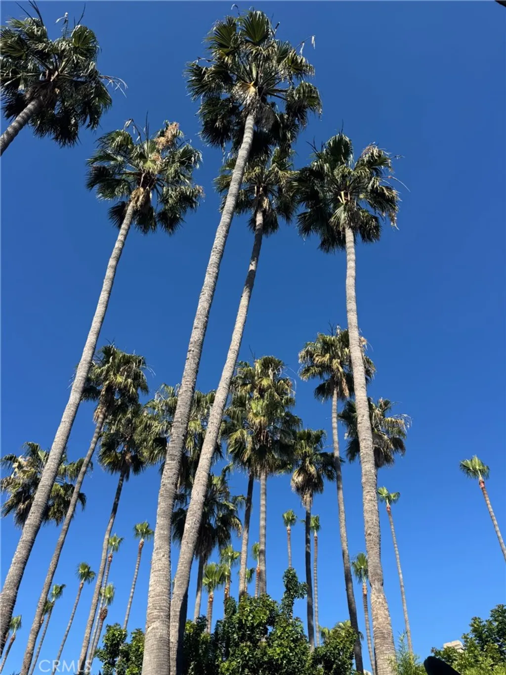 Additional image 5 of 51 Seabrook Cove, Newport Beach, CA 92660