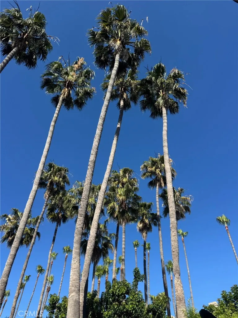 Additional image 49 of 51 Seabrook Cove, Newport Beach, CA 92660