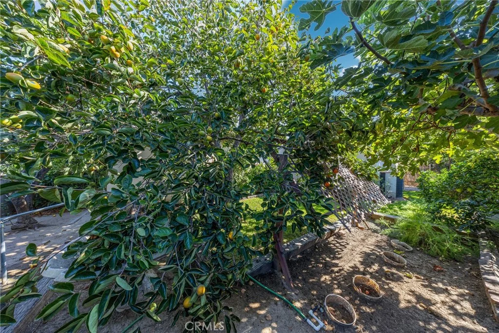 2640 David Ave, La Habra, CA 90631