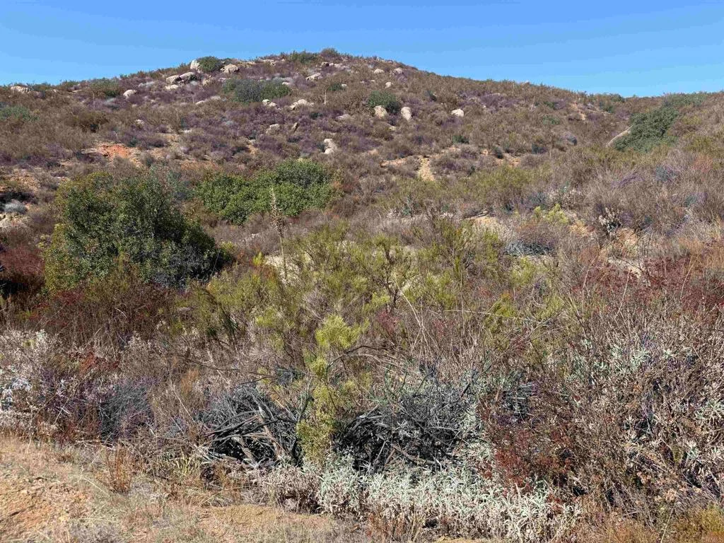 Japatul Rd, Alpine, CA 91901 photo 5