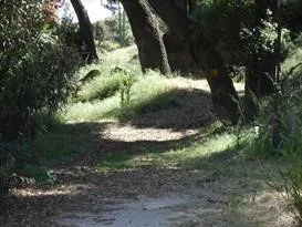 Additional image 12 of 4937 Palmer Canyon Rd, Claremont, CA 91711