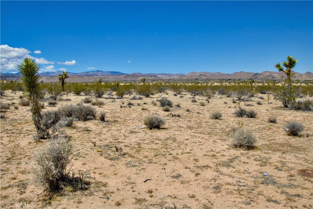 888 Lucky Lane, Landers, CA 92285